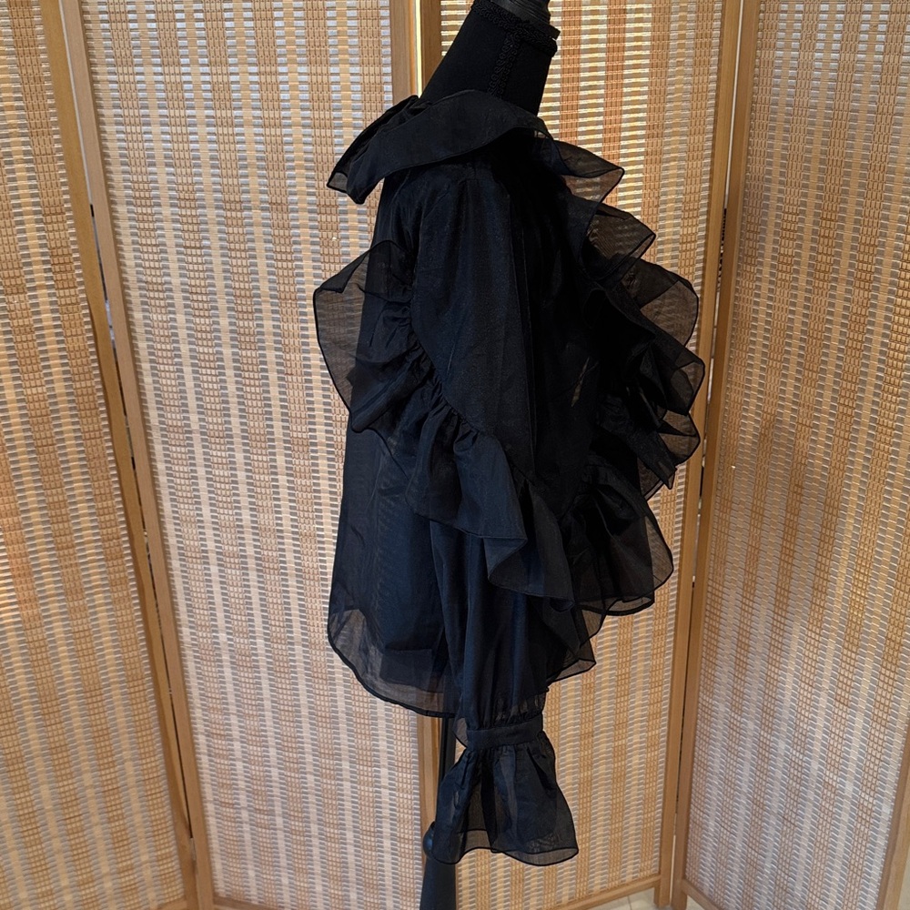 H&M Sheer Black Ruffled Blouse - Picture 7 of 9